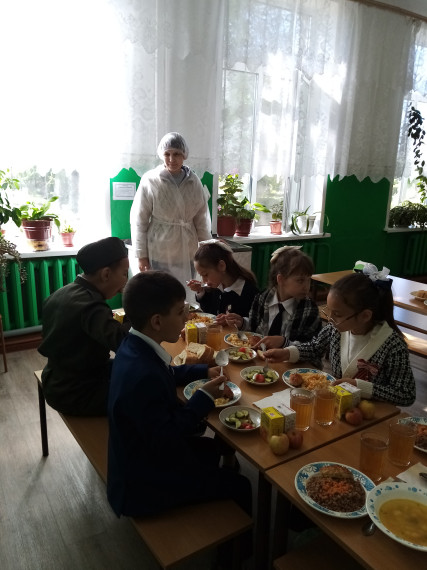 Родительский контроль по организации школьного питания.