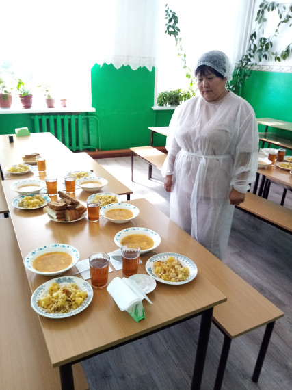 Родительский контроль по организации школьного питания.